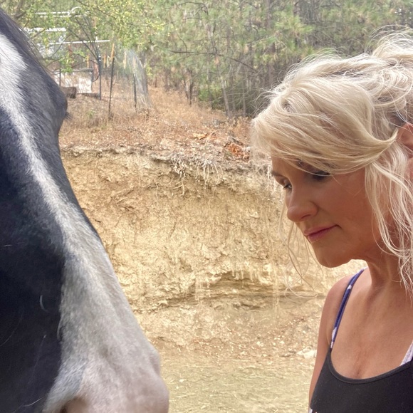 My gorgeous quarter paint Chief 💕 - Picture 4 of 8